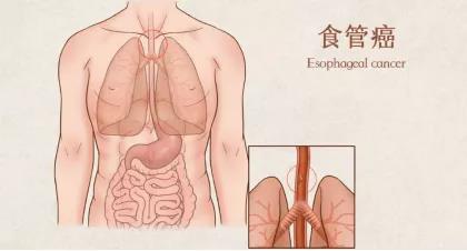 微信图片_20211217150033.jpg