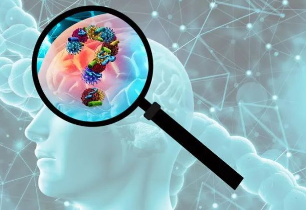 1628069934(1).jpg 1628069934(1).jpg