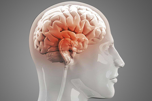 1628234063(1).jpg 1628234063(1).jpg