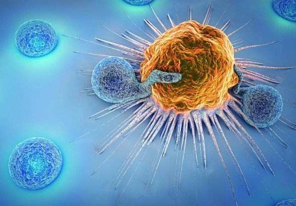 1639625212(1).jpg 1639625212(1).jpg