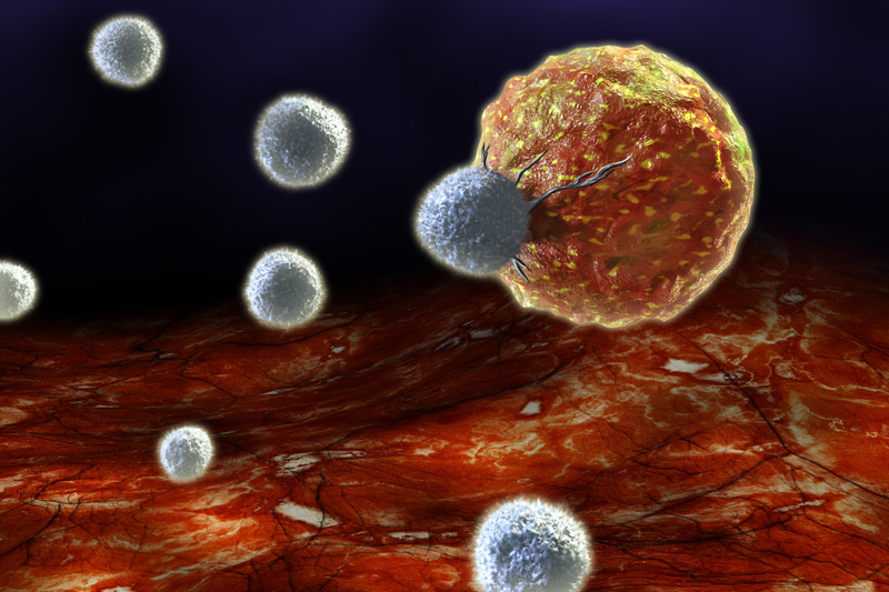 头颈部肿瘤质子治疗:全球医院选择指南 头颈部肿瘤质子治疗:全球医院选择指南