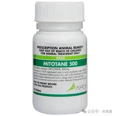 ç­ç|ç±³æå¦æåä¸ªçæ¬?