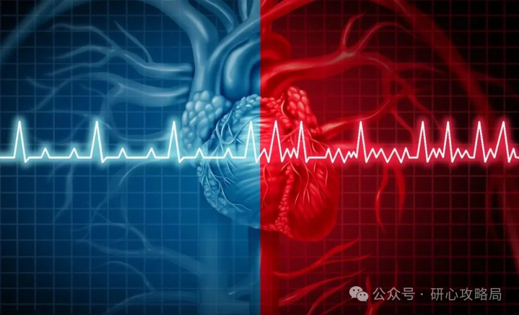 房颤消融“新旧对决”:脉冲场消融 vs 射频消融,哪种更适合你? 房颤消融“新旧对决”:脉冲场消融 vs 射频消融,哪种更适合你?