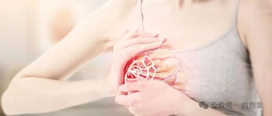 乳腺癌 乳腺癌