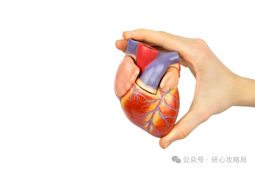 人工心脏 人工心脏