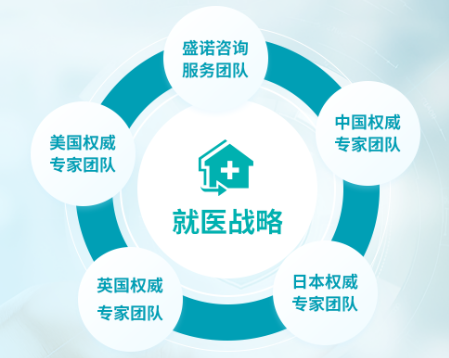 盛诺一家全球就医规划服务