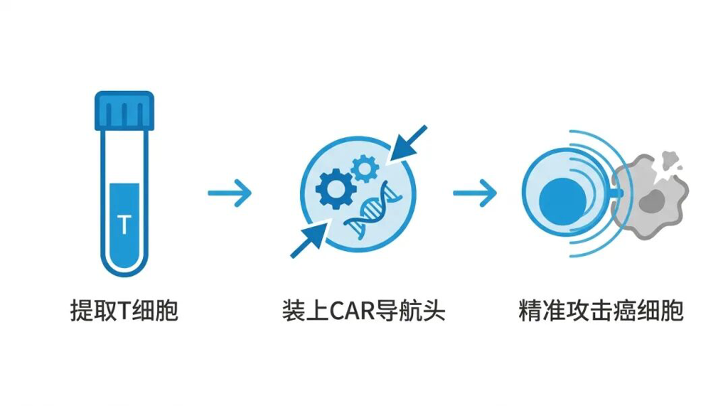 CAR-T疗法三步原理图:提取、改造和攻击癌细胞