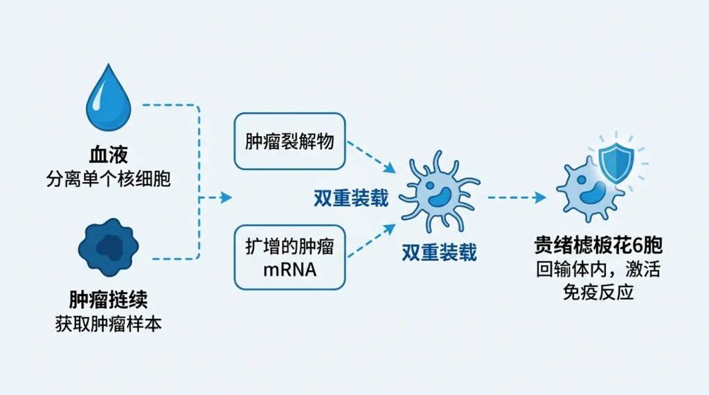 DOC1021个体化定制与双重装载机制科普流程图