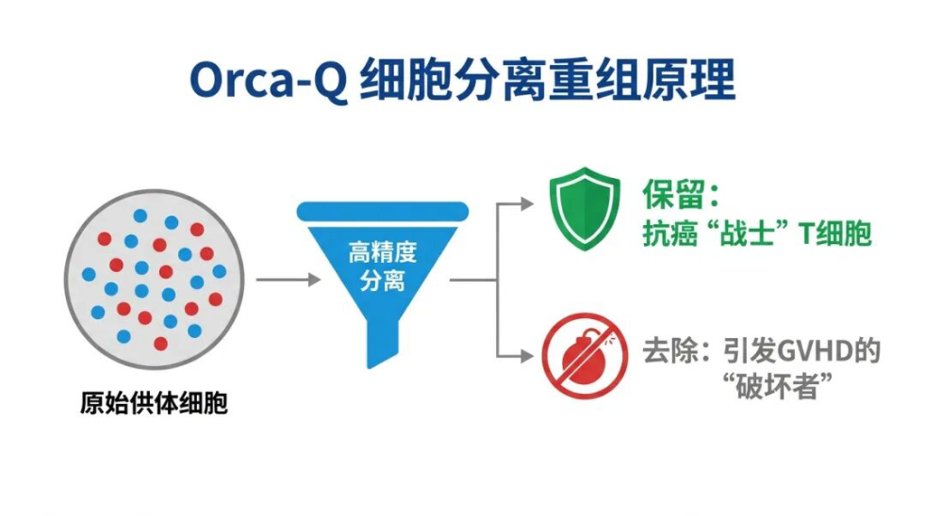 Orca-Q细胞分离重组原理图