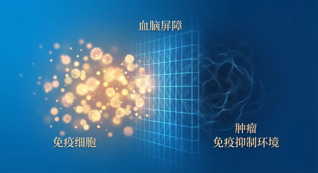 一张抽象医学插画:深蓝色的血脑屏障如严密的网格,将金色的免疫细胞阻隔在外,导致屏障另一侧的肿瘤在缺乏免疫监视的环境下生长。