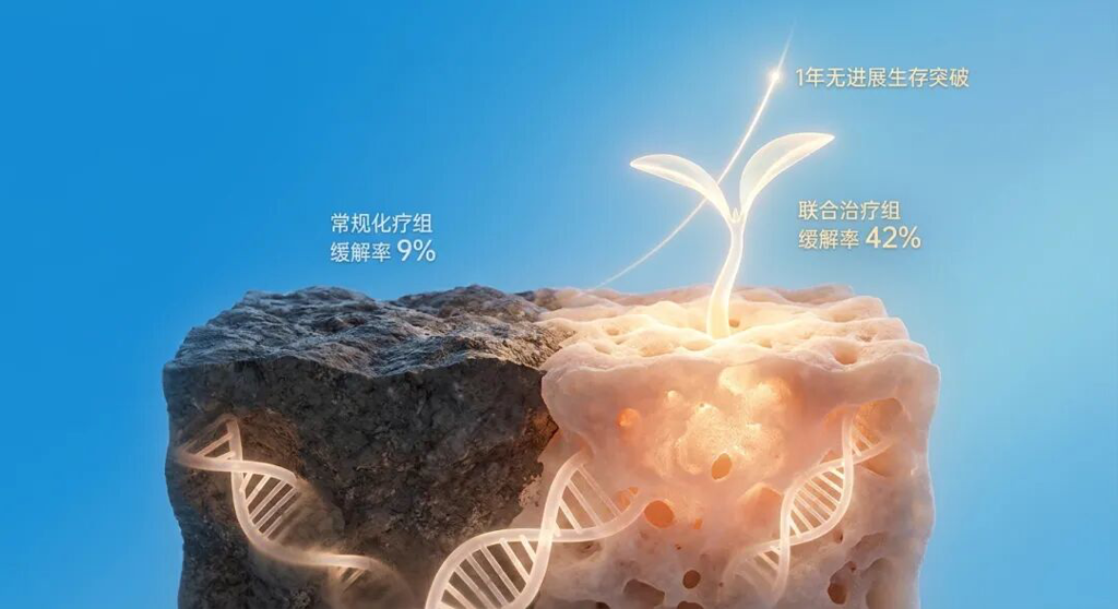 一张充满生机与希望的医学插画。在盛诺一家品牌蓝的背景下,一株象征生命的嫩芽从被‘重塑’的土壤中破土而出。画面对比了临床研究数据:帕立骨化醇联合化疗组的缓解率高达42%,远高于常规化疗组的9%,并标注了‘1年无进展生存突破’。整体光影通透温暖,寓意着新技术为胰腺癌患者带来的生存希望。