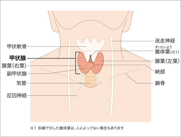 微信图片_20200317134818.png