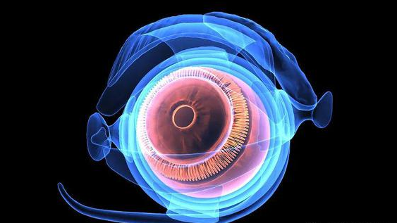 视神经胶质瘤是什么？有哪些类型？