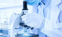 Capivasertib联合氟维司群治疗乳腺癌获FDA优先审查资格