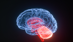 《圣斗士星矢》主题曲演唱者确诊脑肿瘤！有哪些前沿疗法可提高治愈率？