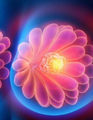 肿瘤控制时间近2倍,肿瘤大幅缩小比例超2倍,肿瘤全消失比例超3倍!三阴性乳腺癌新方案震撼来袭!