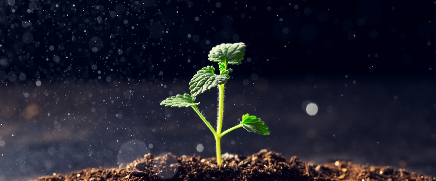 90%患者肿瘤大幅缩小，其中75%的人肿瘤完全消失！淋巴瘤CAR-T疗法5年数据惊艳！