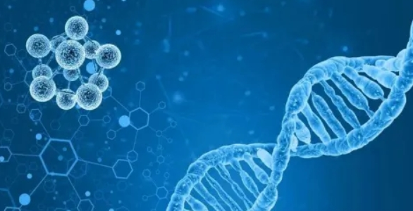 免疫治疗为何仅在不到一半的癌症患者中有效？哈佛科学家发现了STUB1这个“隐形刹车”！