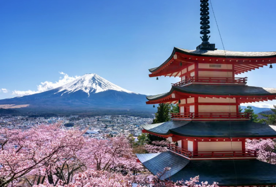 日本“每2人就有1人患癌”成常态，超半数患者确诊10年后仍存活！日本癌筛体检有何不同？