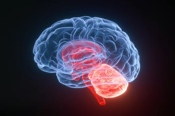 美国新型免疫联合疗法带来关键突!复发胶质母细胞瘤患者生存期延长,免疫力明显恢复!