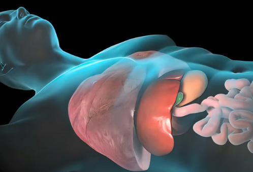 46%患者肿瘤明显缩小或消失!Bezuclastinib联合Sunitinib在胃肠道间质肿瘤中疗效显著