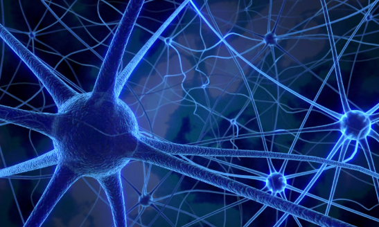 晚期阿尔茨海默病还有机会逆转？NAD平衡疗法在研究中让小鼠大脑“焕然一新”！