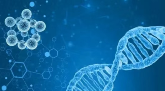 家族有人患癌，我的风险到底有多高？要不要去查一下“癌症基因”？