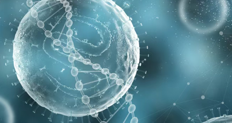 美国加州大学旧金山分校UCSF新技术有望让CAR-T疗法价格大幅降低