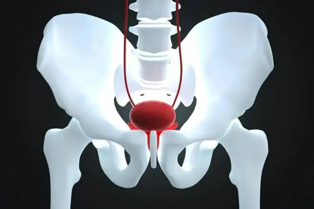告别化疗？！膀胱癌治疗迎来史诗级巨变：肿瘤消退率翻倍，副作用更小！