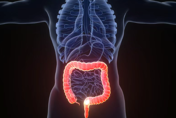 88%患者病情被控制住!新药Varseta-M在晚期结直肠癌中疗效令人鼓舞