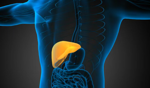 重大突破！IMJUDO双免疫方案让晚期肝癌生存率“翻倍”，5年后近20%患者存活！