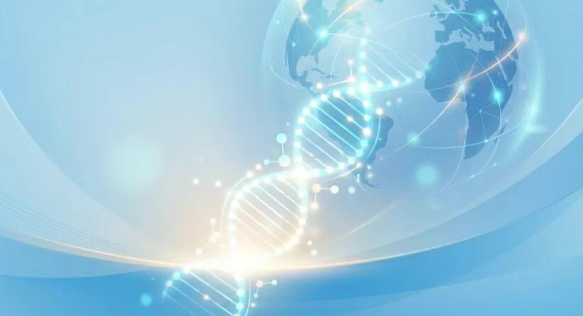 突破化疗与内分泌治疗瓶颈！这款FDA加速批准的创新双药组合，正为复发性卵巢癌患者赢得更长久的生命时间