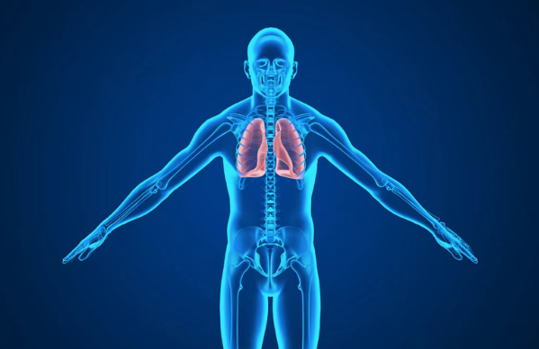 每日口服一次，76%晚期肺癌患者肿瘤明显缩小或消失，脑转移同样效果显著！前沿药Zongertinib新数据公布