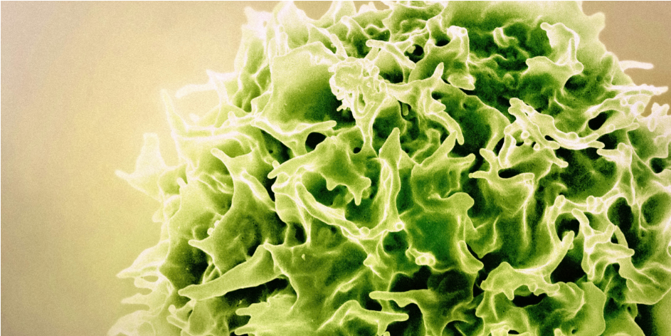 接近100%消除实体瘤！Nature公布CAR-T重大突破，癌症治疗迎来新希望