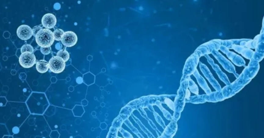 胰腺癌对免疫疗法不买账？美国科学家巧用8种mRNA调出免疫鸡尾酒破局！